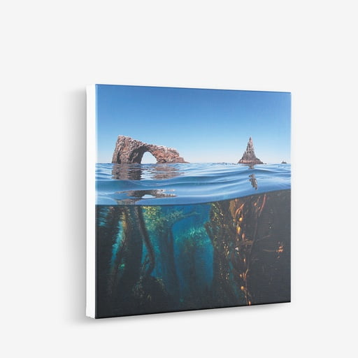 
                  
                    Waterscape Canvas Printing
                  
                
